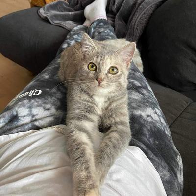 Balu (Fridolin - Frieda)