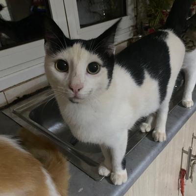 Floxi – Floxi.jpg