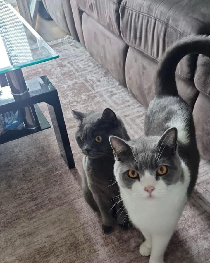 Gucci & Minnos