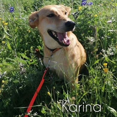 Karina