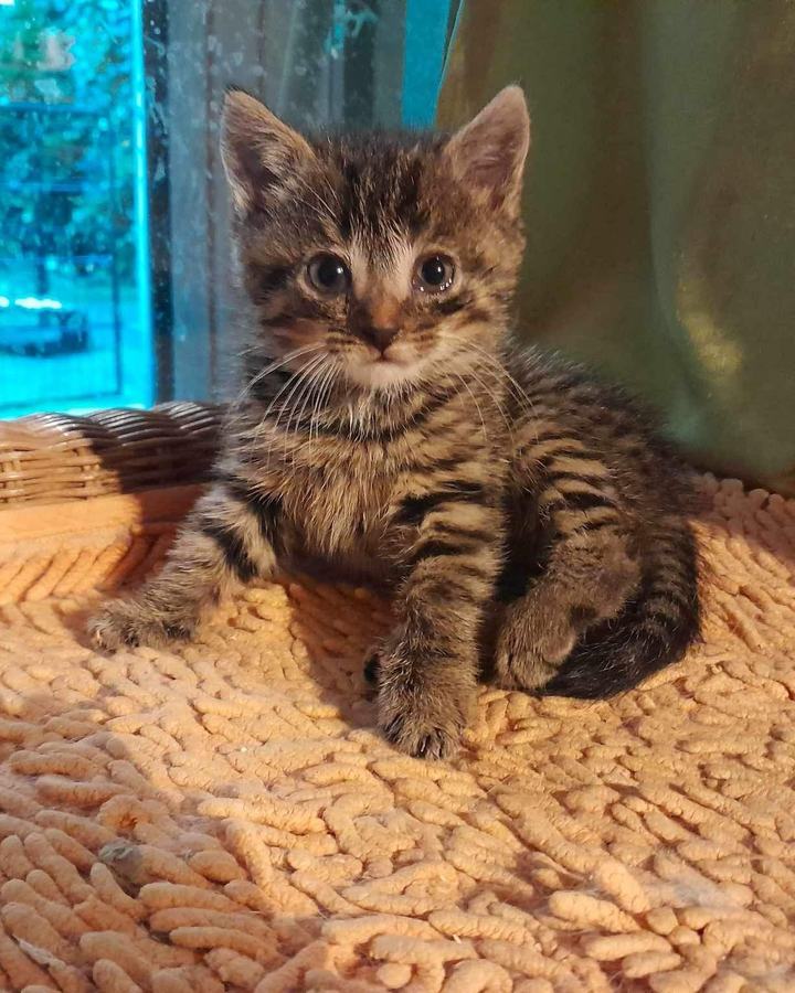 Kira