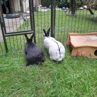 Links: Paulo; Rechts: Lisi