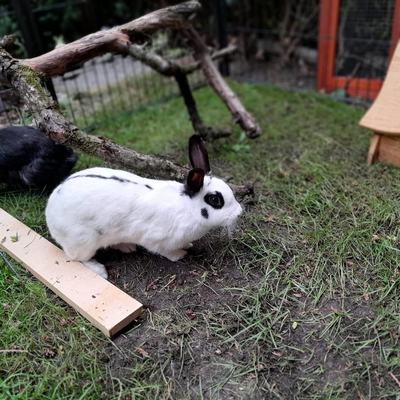 Links: Paulo; Rechts: Lisi