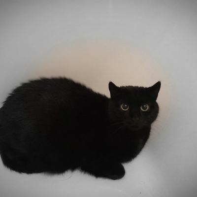 Lucy