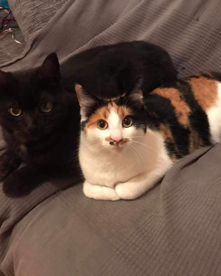 Naomi + Zeus