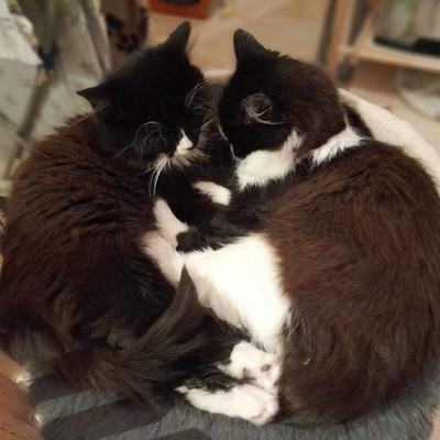 Otto und Oskar – Otto-und-Oskar_02.jpeg