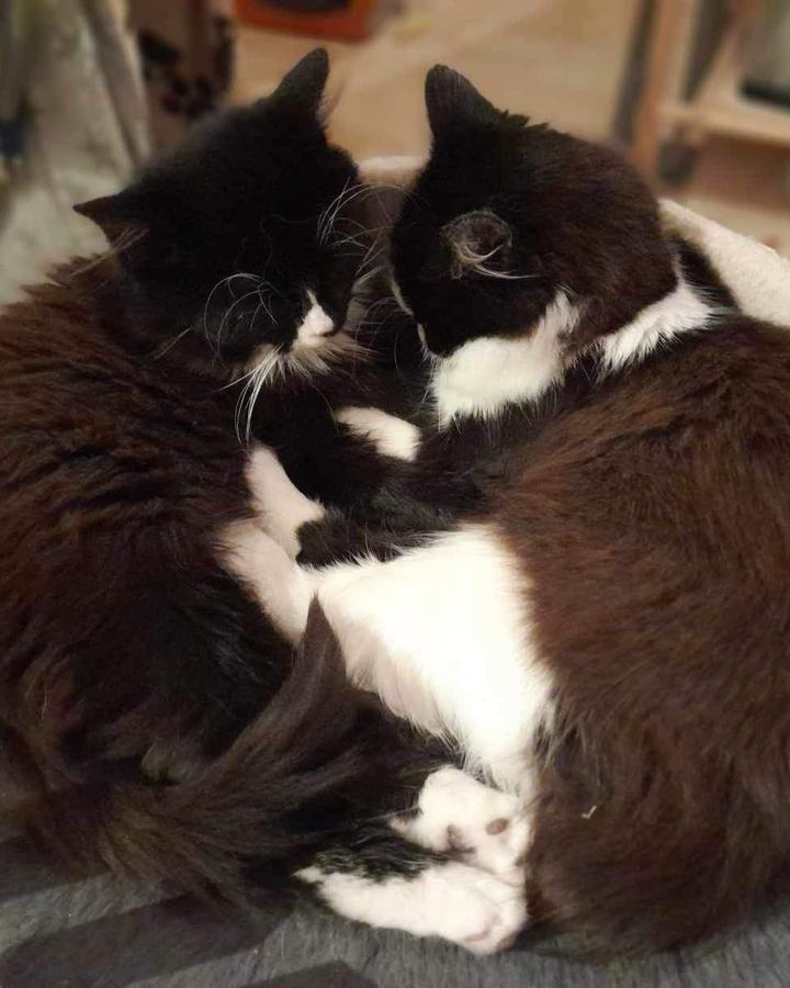 Otto und Oskar