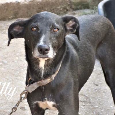 Willy – Willy.jpg