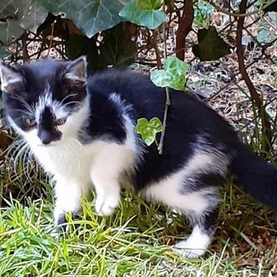 Baby Milo (Titelbild)
