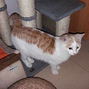 Benji – benji2.jpg