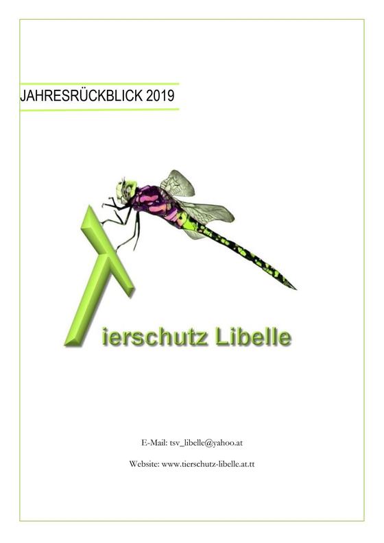 Cover Jahresrückblick 2019