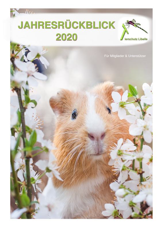 Cover Jahresrückblick 2020