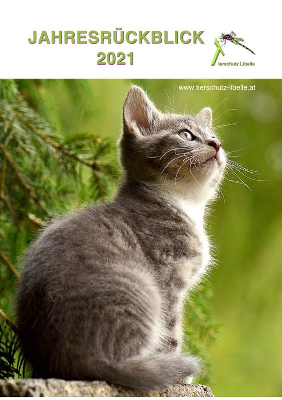 Cover Jahresrückblick 2021