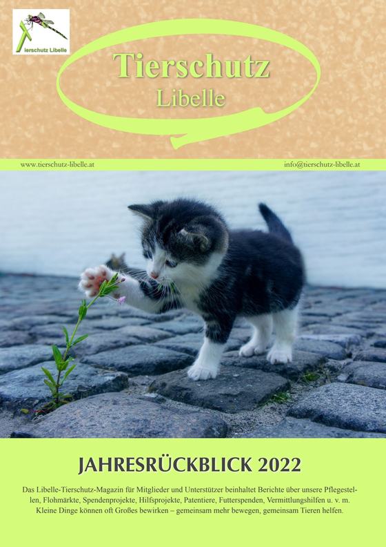 Cover Jahresrückblick 2022