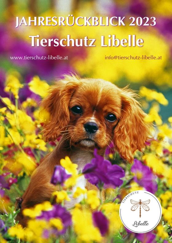 Cover Jahresrückblick 2023