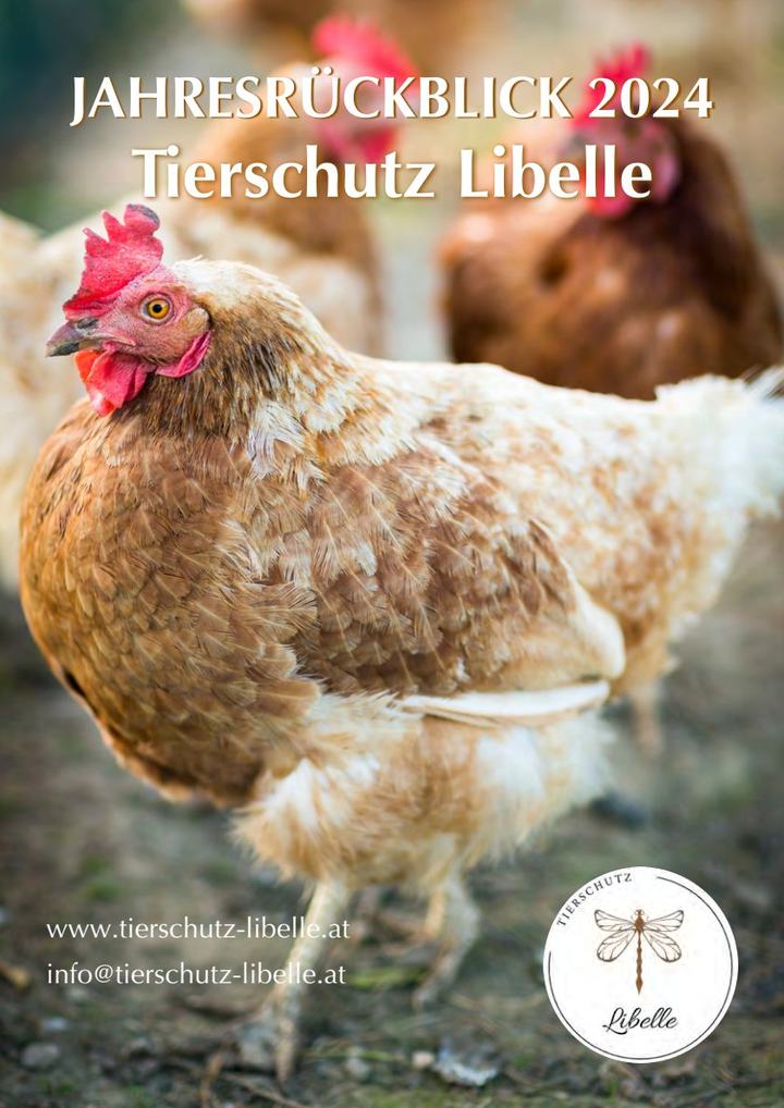 Cover Jahresrückblick 2024