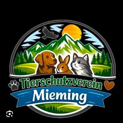 Hunde aus Ungarn suchen dringend ein Zuhause