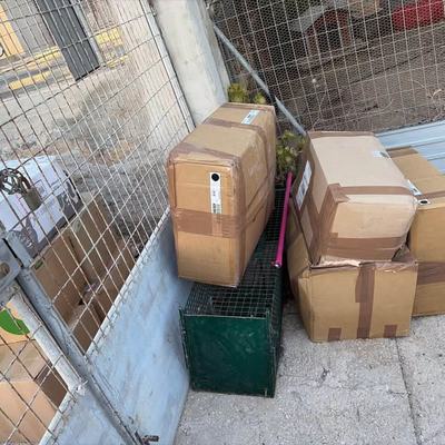 Spendenpakete für Tiere auf Kreta unterstützen Helfer Sarah