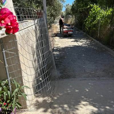 Spendenaufruf für Futterhilfe Hunde und Katzen Kreta