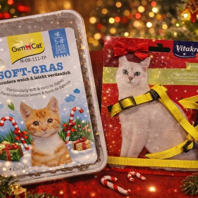 Adventkalender-Gewinnspiel mit Hund- und Katzenpaket
