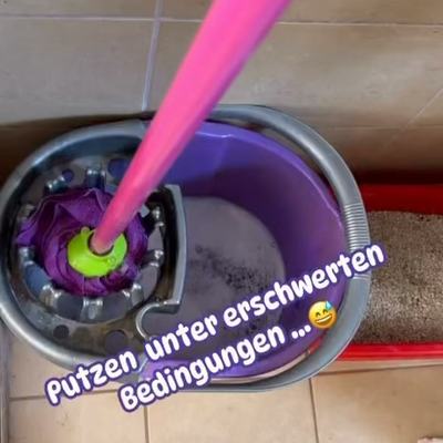 Kätzchen beim Helfen und Spielen im Badezimmer