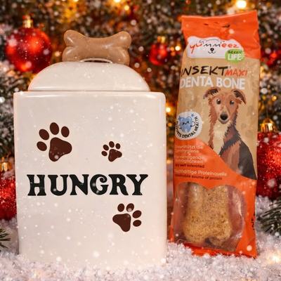 Adventkalender-Gewinnspiel mit Hundepaket und Flachmann