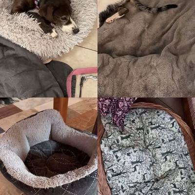Sachspenden für Hunde und Katzen auf Kreta