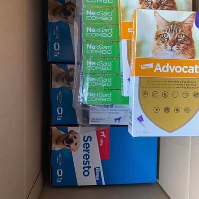 Hunde und Katzen mit Parasitenschutz auf Kreta