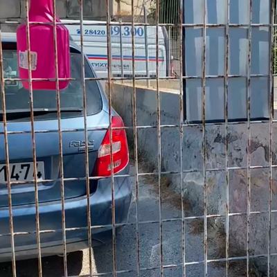Spendenpakete für Hunde und Katzen auf Kreta angekommen