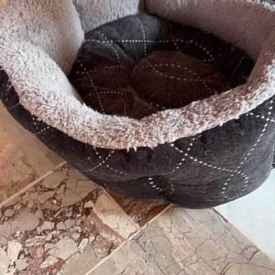 Sachspenden für Hunde und Katzen auf Kreta