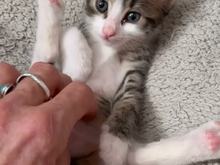 fb-6bd9ba38441c12e7