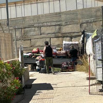 Spendenaufruf für Futterhilfe Hunde und Katzen Kreta