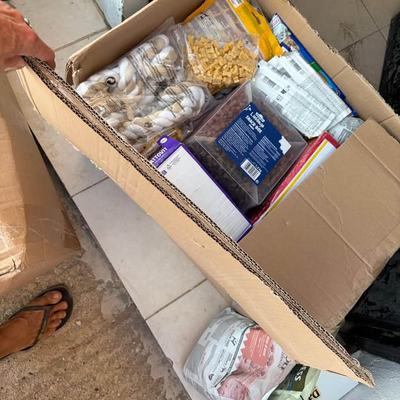Sachspenden für Hunde und Katzen im Tierschutz Kreta