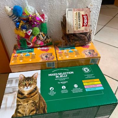 Dank für Unterstützungen und Spenden für Tiere auf Kreta
