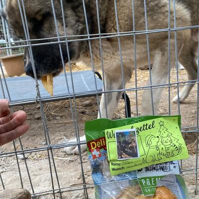 24 Pakete mit Sachspenden für Tiere auf Kreta