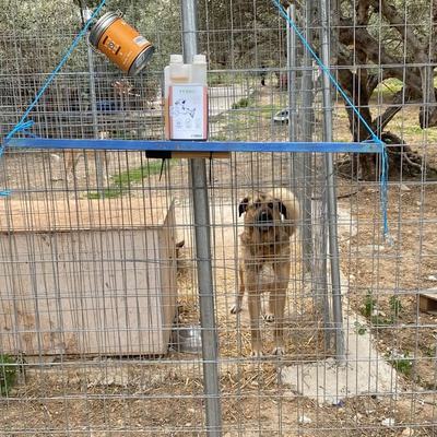 24 Pakete mit Sachspenden für Tiere auf Kreta