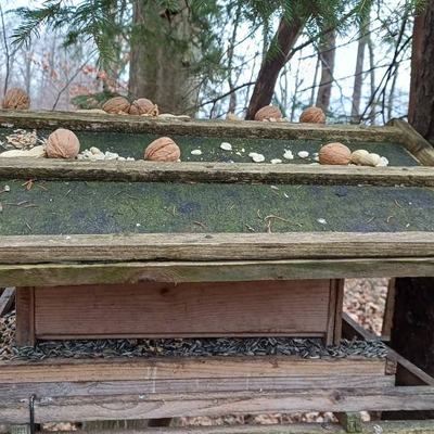 Pipmatze und Eichhörnchen erhalten regelmäßiges Dinner