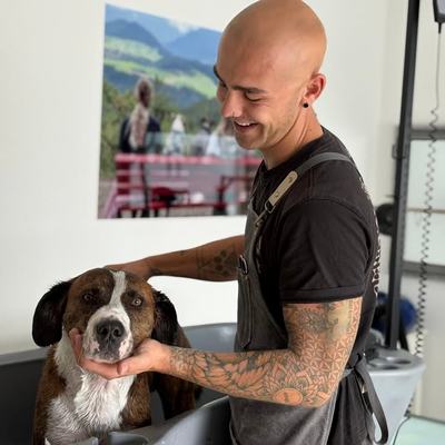 Hundesalon und mobiles Hundetraining in Haiming