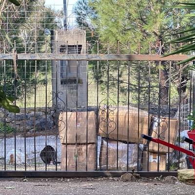 Spenden für Hunde und Katzen auf Kreta angekommen