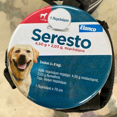 Hunde und Katzen mit Parasitenschutz auf Kreta
