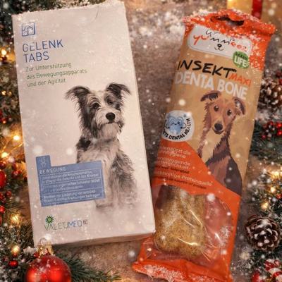 Adventkalender-Gewinnspiel mit Hund- und Katzenpaket