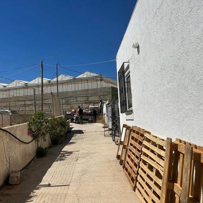 Spendenaufruf für Futterhilfe Hunde und Katzen Kreta