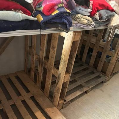 Spendenaufruf für Futterhilfe Hunde und Katzen Kreta