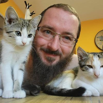 Katzen Rosi und Ida suchen gemeinsam ein Zuhause