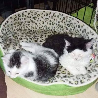 Gerri und Benni