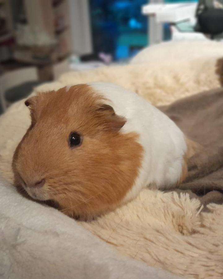 Gerri und Helli