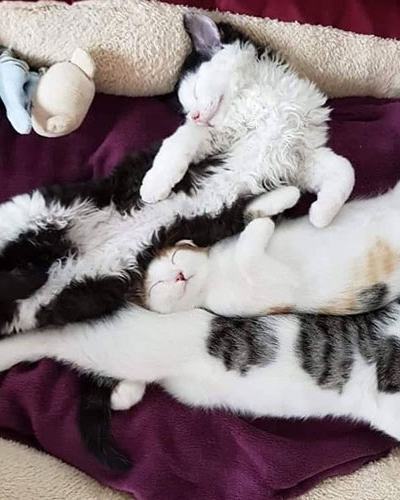 Gerri und Benni