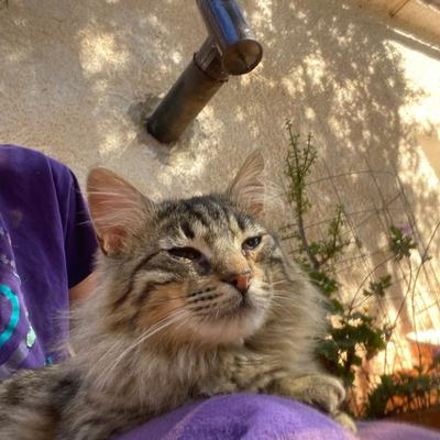 Hugo – hugo_02.jpeg