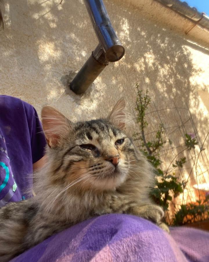 Hugo