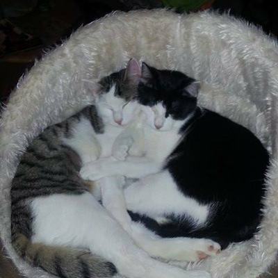 Felix & Jerry (Newton & Drake) – jf3.jpg